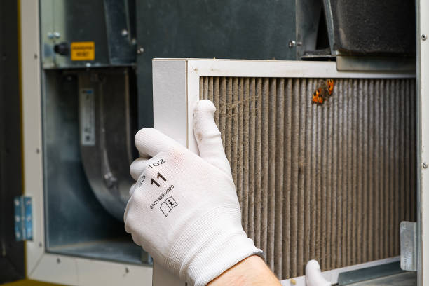 Best Air Vent Cleaning Services  in Columbus, NM