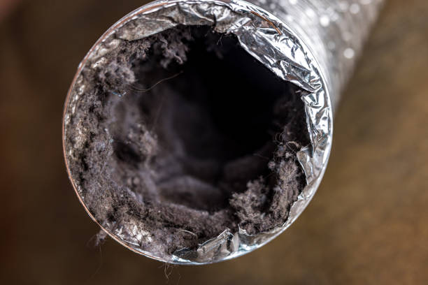 Best Affordable HVAC Duct Cleaning  in Columbus, NM