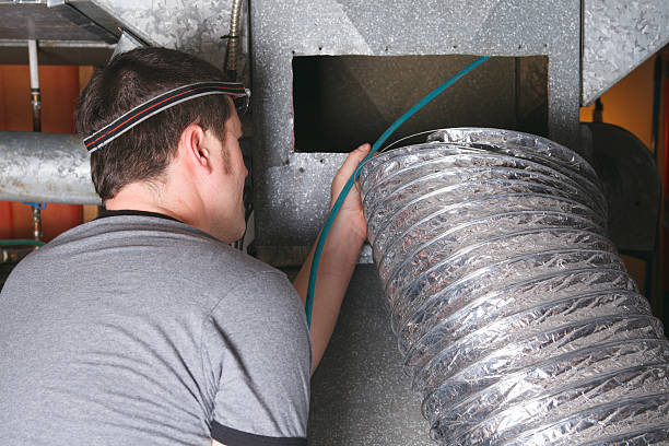 Best Air Duct Sanitizing Services  in Columbus, NM