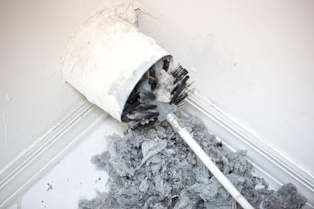 Best Duct Cleaning Specialists  in Columbus, NM