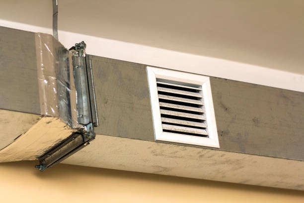 Best Air Duct Cleaning Near Me  in Columbus, NM